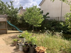 Images for Churchinford, Taunton