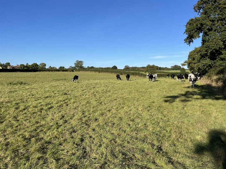 Images for Packers Hill, Holwell, Sherborne