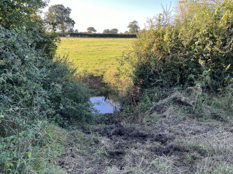 Images for Packers Hill, Holwell, Sherborne