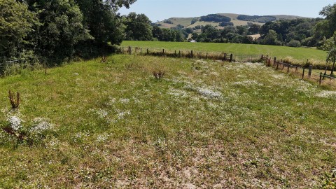 Click the photo for more details of North Chideock
