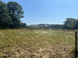 Images for North Chideock