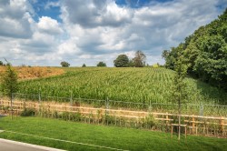 Images for Durbeyfield Park, Marnhull