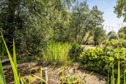 Images for Holy City, Chardstock, Axminster