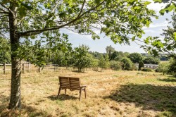 Images for Holy City, Chardstock, Axminster