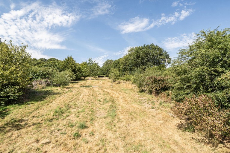 Images for Holy City, Chardstock, Axminster