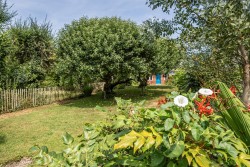 Images for Millham Lane, Dulverton