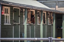 Images for Hull Lane, Charlton Horethorne, Sherborne