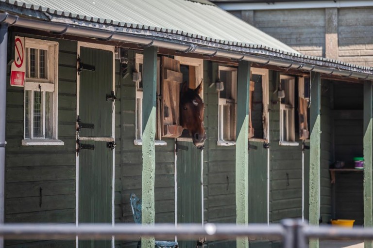 Images for Hull Lane, Charlton Horethorne, Sherborne