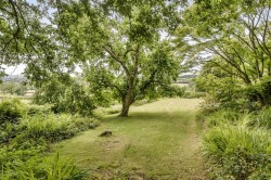 Images for Chudleigh, Newton Abbot