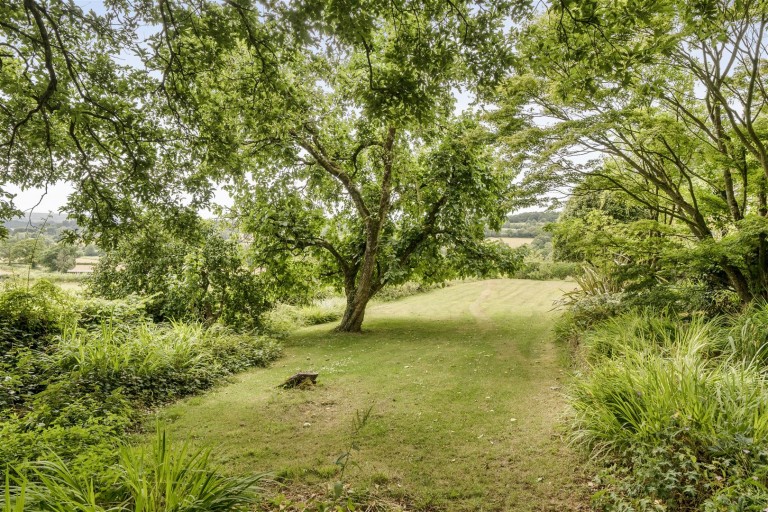 Images for Chudleigh, Newton Abbot