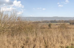 Images for Crossfields, Bersted Park, PO21