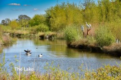 Images for Crossfields, Bersted Park, PO21