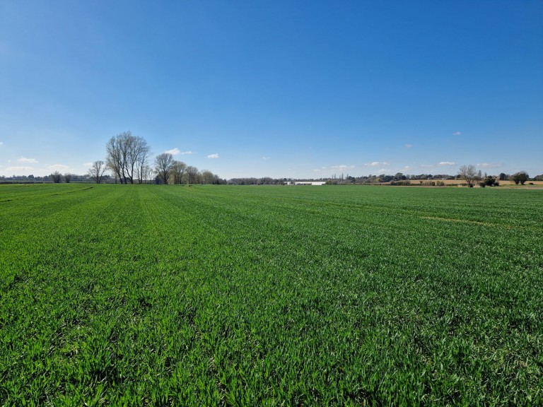 Images for Alderton, Suffolk Heritage Coast