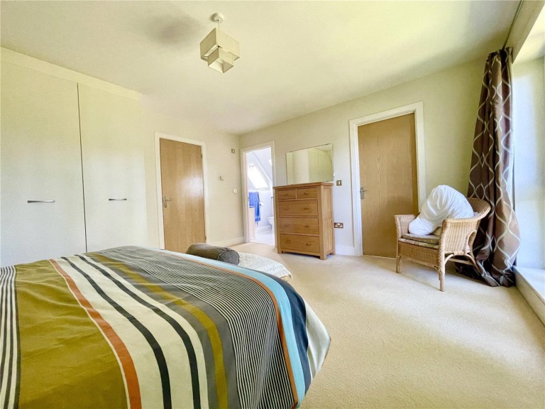 Images for Driftwood Park, Christchurch