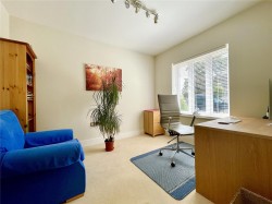 Images for Driftwood Park, Christchurch