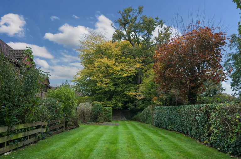 Images for Grenehurst Way, Petersfield, GU31