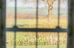 Images for Marchwood, Chichester, PO19