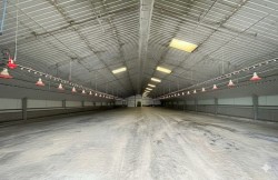 Images for Stradbroke, Eye, Suffolk