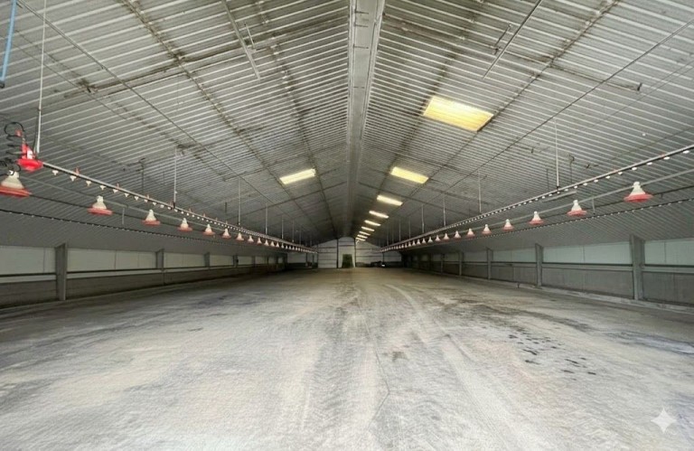 Images for Stradbroke, Eye, Suffolk