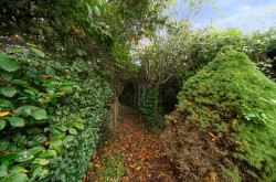 Images for Orchard Avenue, Selsey, PO20