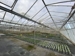 Images for Newbourne, Nr Woodbridge, Suffolk 