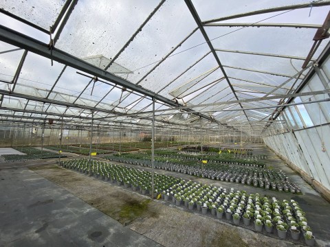 Click the photo for more details of Newbourne, Nr Woodbridge, Suffolk 