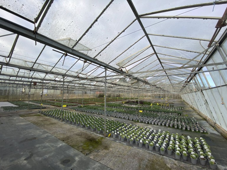 Images for Newbourne, Nr Woodbridge, Suffolk 