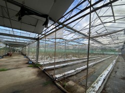 Images for Newbourne, Nr Woodbridge, Suffolk 