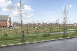 Images for Osprey Drive, Chichester, PO20