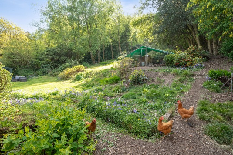 Images for Marley Combe Road, Haslemere, GU27