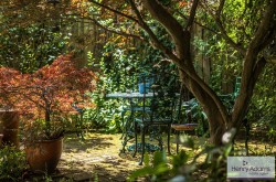 Images for London Road, Rake, GU33