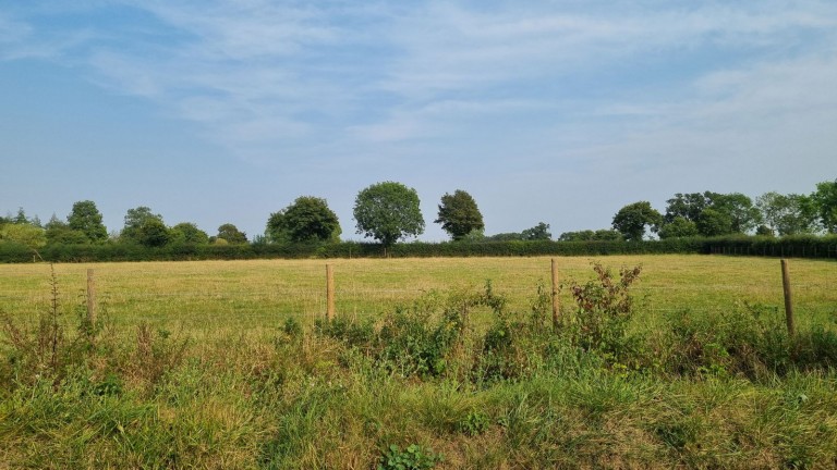 Images for Denton, Harleston, Norfolk