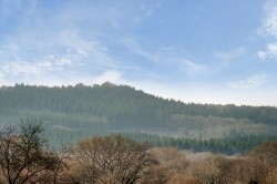Images for Tavern Court, Fernhurst, GU27