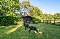 Images for Bisterne Close, Burley, Ringwood, BH24