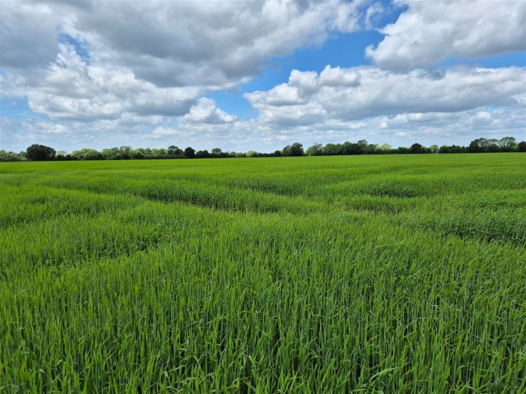 Images for Ashfield, Nr Debenham