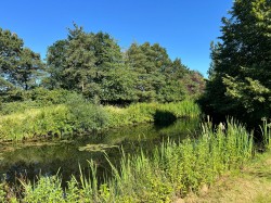 Images for Helmingham, Suffolk