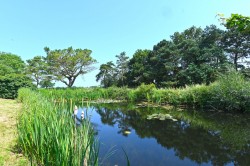 Images for Helmingham, Suffolk