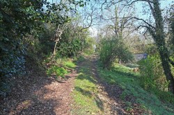 Images for The Common, Tunstall, Near Woodbridge, Suffolk