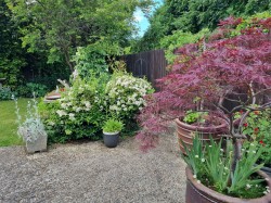 Images for Coddenham, Ipswich, Suffolk