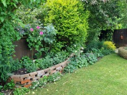 Images for Coddenham, Ipswich, Suffolk