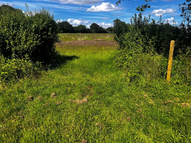 Images for 8.00 acres - land at Somersham, Nr Ipswich, Suffolk 