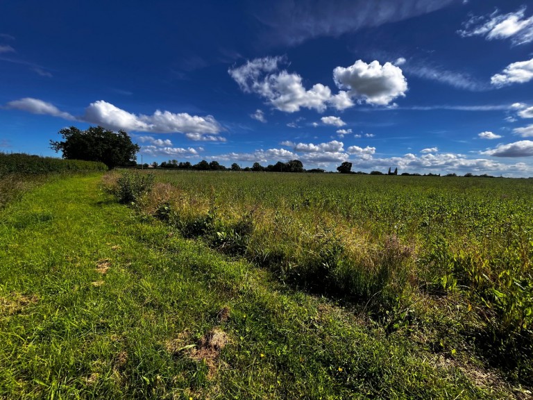 Images for 8.00 acres - land at Somersham, Nr Ipswich, Suffolk 
