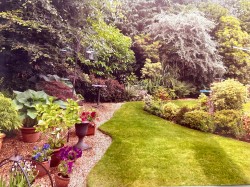 Images for Carron Lane, Midhurst, GU29