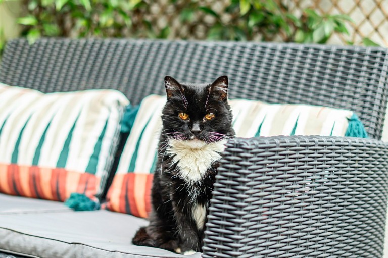 Images for Lower Road, Grayswood, GU27