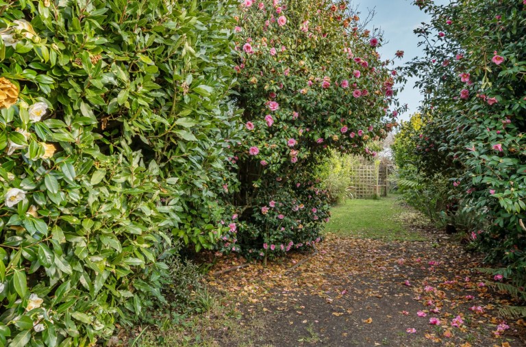 Images for Kingsway, Bognor Regis, PO21