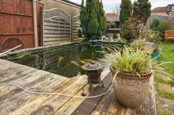 Images for Downside Avenue, Worthing, BN14