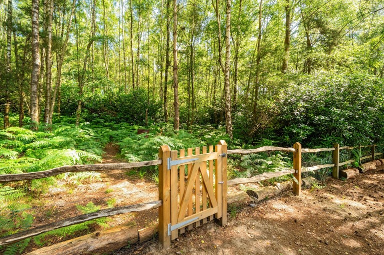 Images for Hurst Park, Midhurst, GU29