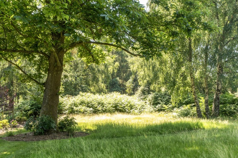 Images for Kings Drive, Midhurst, GU29
