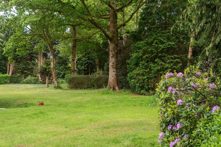 Images for Heath End, Petworth, GU28