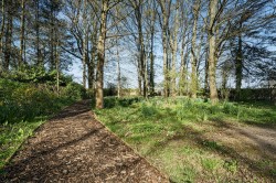 Images for Fisher Street, Northchapel, GU28